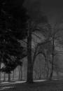 winter-depression