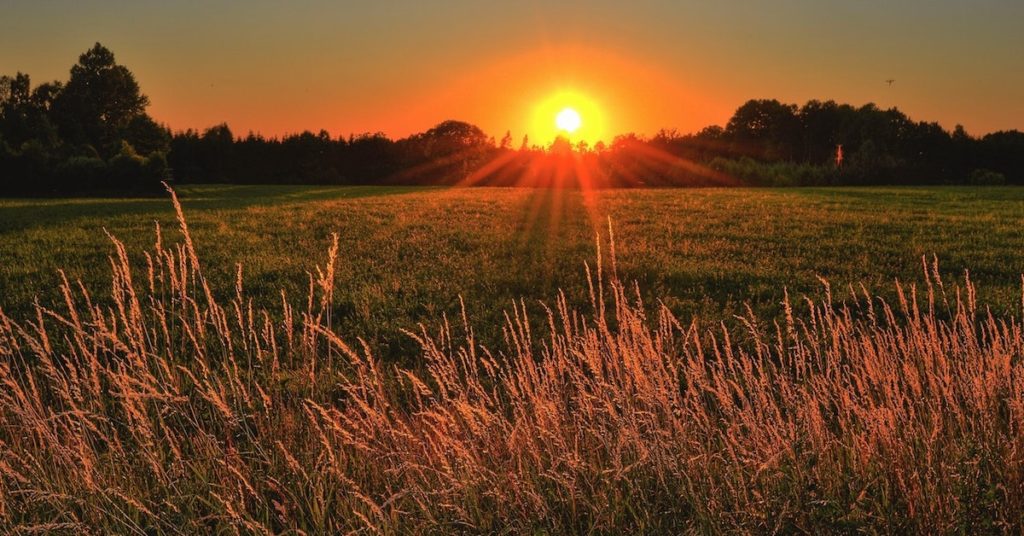 sunlight