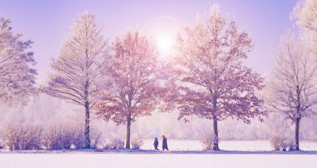 Sun & snow