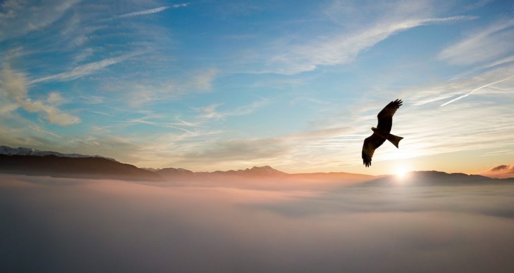 Fly above clouds with Sun